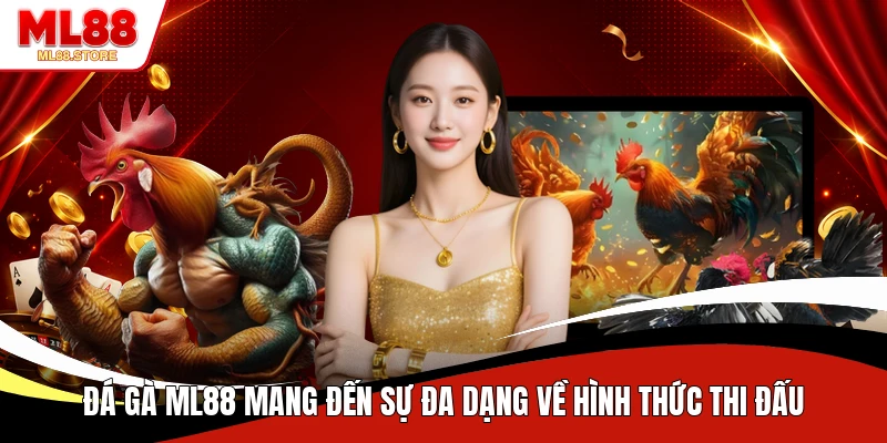 Đá gà ML88 mang đến sự đa dạng về hình thức thi đấu
