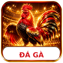đá gà